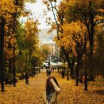 zhvtn_park